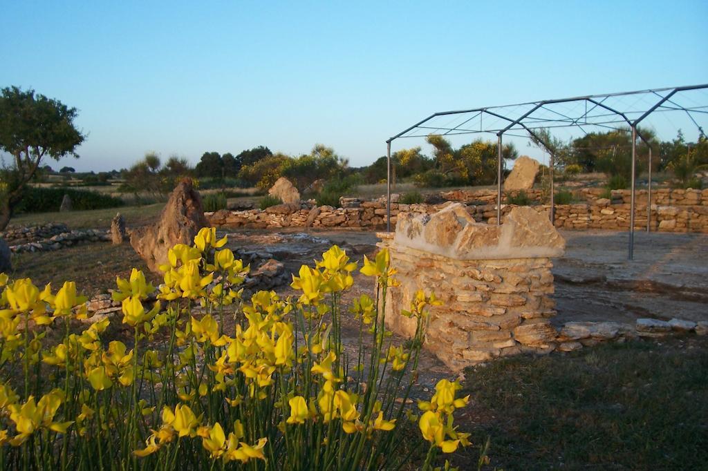 Agriturismo Il Grillo Parlante Pitigliano Exterior photo