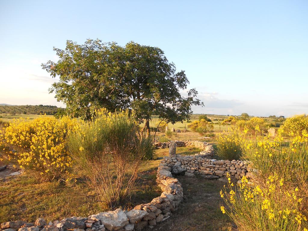 Agriturismo Il Grillo Parlante Pitigliano Exterior photo